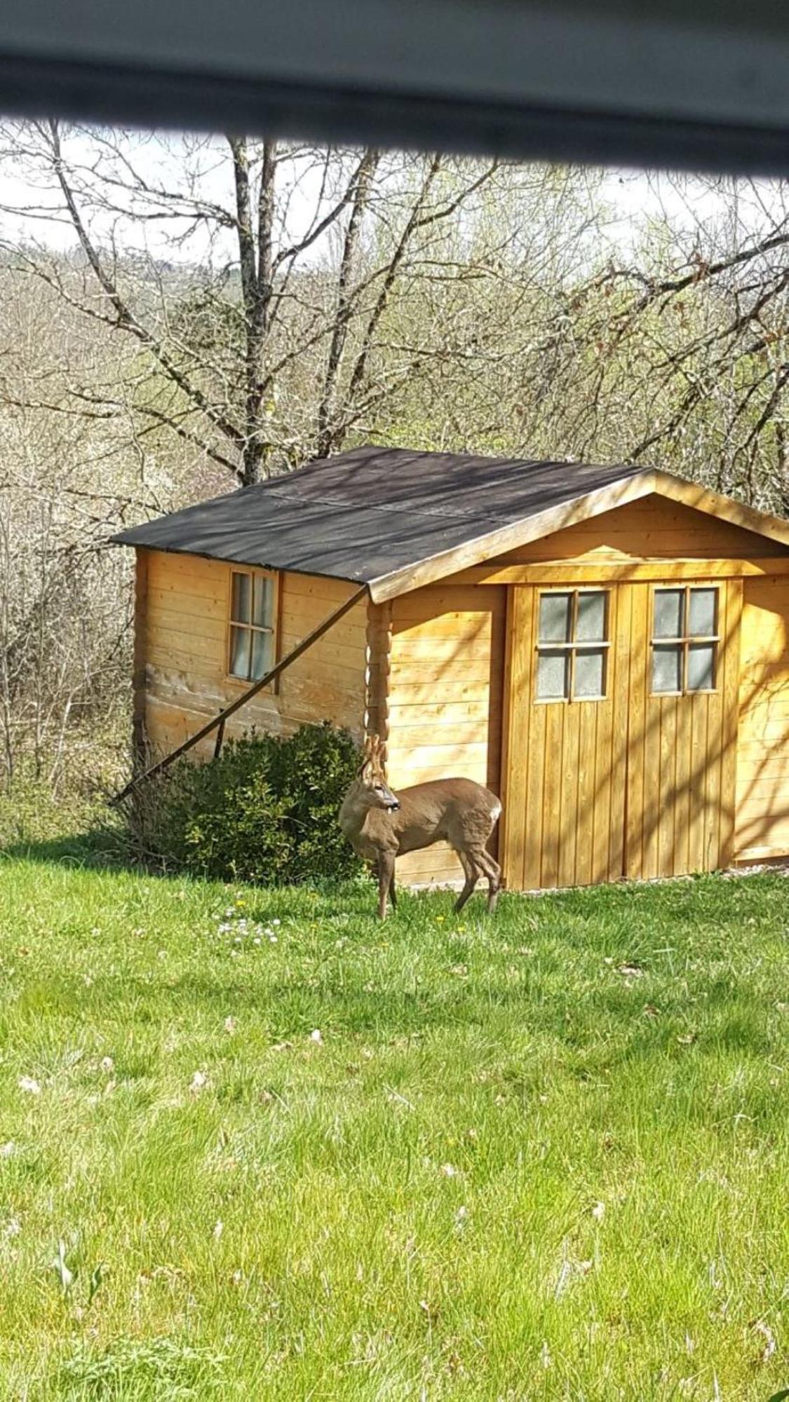 La Maison D'isabel